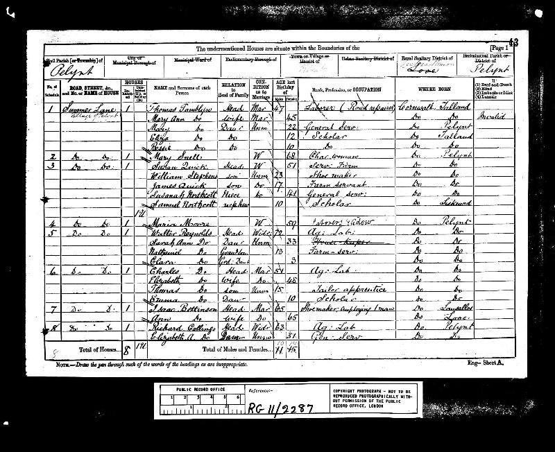 UKCensus 1881 Pelynt, Cornwall, England RG11/2287/43/1 (Walter Reynolds)
